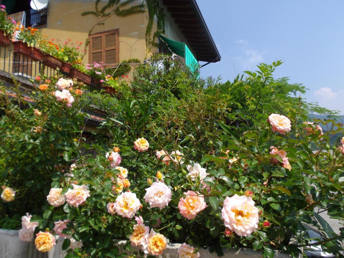 Il Giuggiolo Bed and Breakfast Calco  Exterior foto